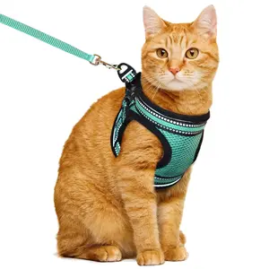 Cat Harness and Leash Set, Color-Matched Escape Proof Kitten Vest, Double Protection with Velcro & Buckle, Large Area Security Design, Reflective Adjustable Soft Padded Cat Lead for Outdoor Walking