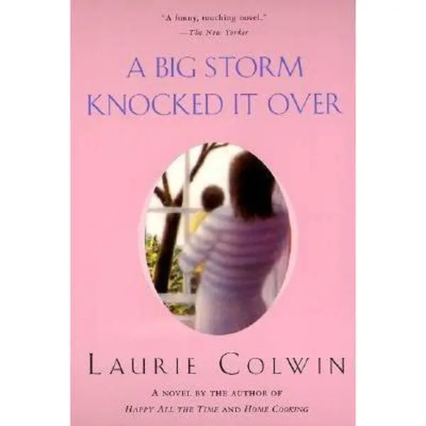 USED Book - A Big Storm Knocked It Over by Laurie Colwin (Paperback) - english