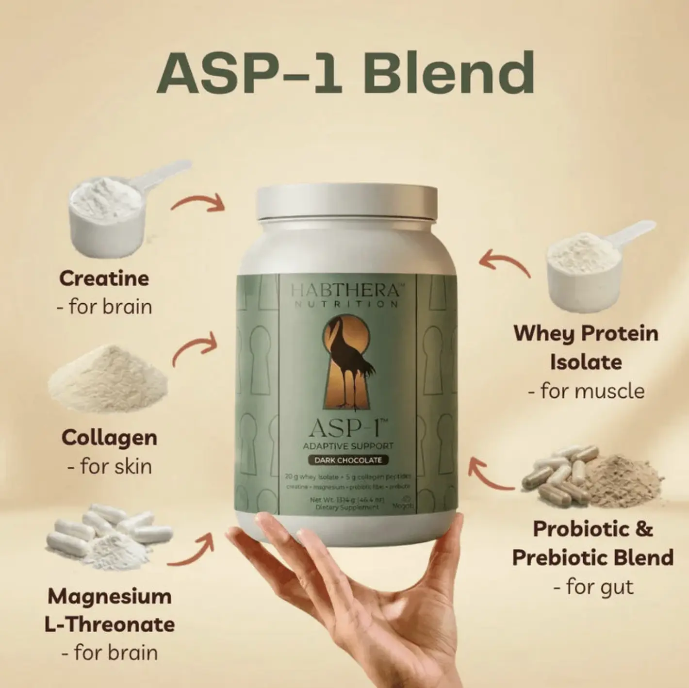 ASP-1 Adaptive Support Powder by Habthera Nutrition