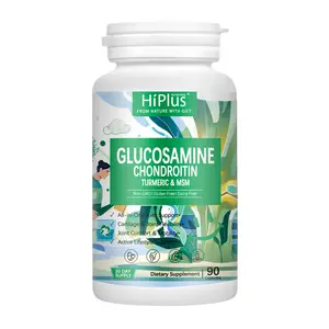 HiPlus All-in-One Joint Support – Glucosamine Chondroitin Turmeric & MSM for Comfort, Mobility & Flexibility | 30-Day Supply