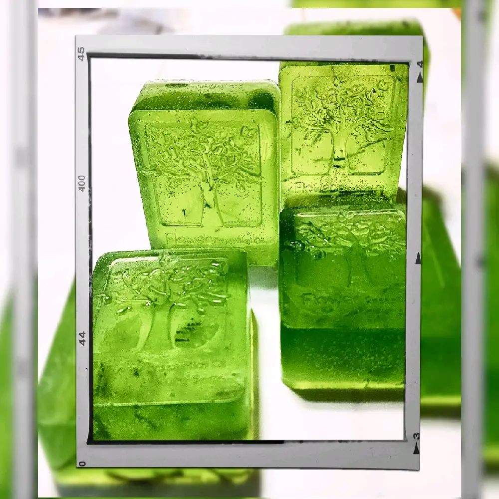 Essentials Oils Aloe Vera Soap with Natural Aloe Vera Extracts and Gentle Exfoliation - Refreshing Scent and Smooth Skin