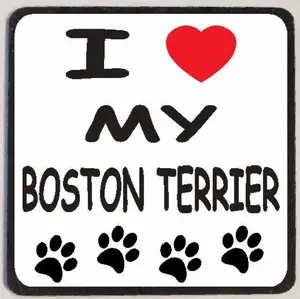 M110 I Love My Boston Terrier