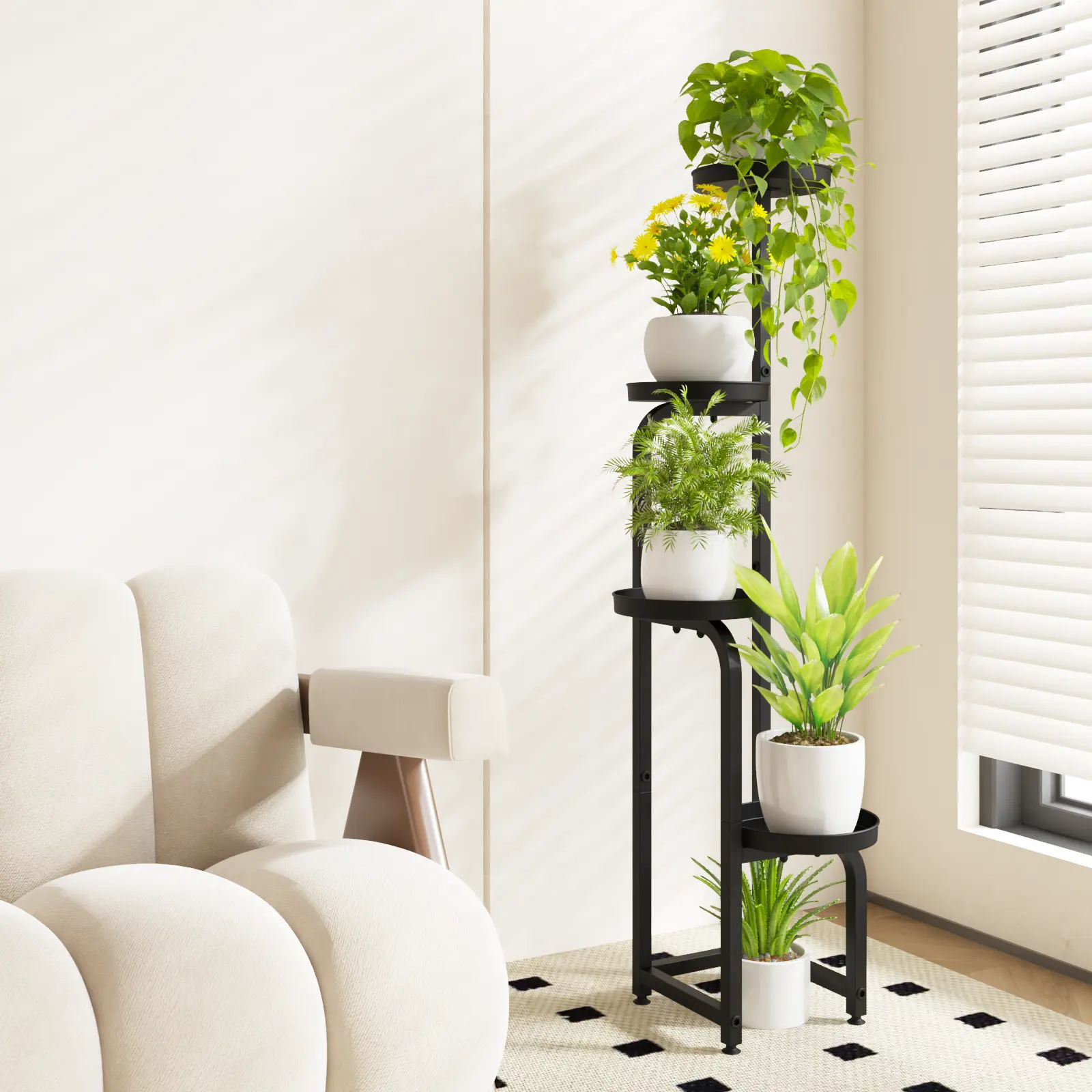 buy philodendron painted lady Philodendron 'Painted Lady'