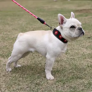 Dog Collar with Free ID Tag Personalization - Custom Pet Owner Info, Leather Collar for French Bulldogs, Small to Medium Dogs - Available in Black,