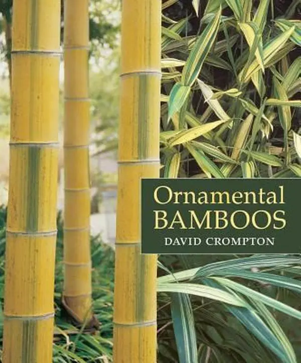 USED-Ornamental Bamboos by Crompton, David (Hardcover)