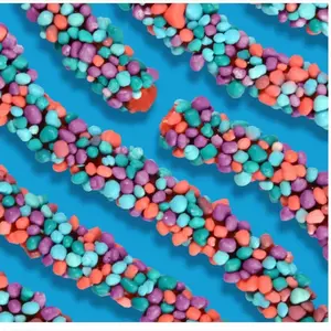 Nerds Rope Snack - Delicious and Chewy Candy haribo viral gushers clusters salad Candies Sweet sour blue