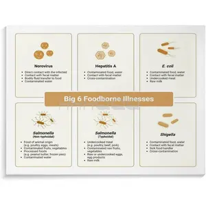 Big 6 Foodborne Illnesses Poster, Food Safety Poster (1) Canvas Posters And Prints Wall Art for Living Room Bedroom Decor 16x12inch(40x30cm) Frame-style