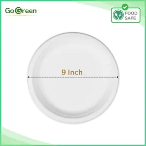 9" COMPOSTABLE PLATE - COUNT 500 disposable tableware