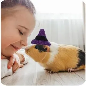 Mini Knitted Pet Hat for Small Animals - Cute Handmade Cap for Parrots, Hamsters, Lizards, Snakes, Adorable Photo Prop for Reptiles & Birds