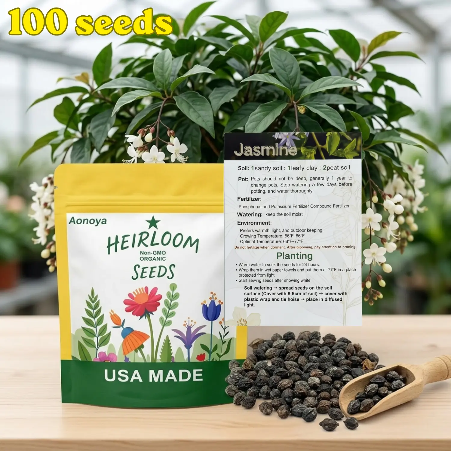 【BUY 2 GET 1 FREE】100pcs Trailing Jasmine Seeds Clerodendrum wallichii Merr Bridal Veil High Germination Rate Nodding Clerodendron Easy to Grow Long Lasting Aroma for Home Garden Fragrant Blooms Rare Cascading Jasmine Perfect for Balconies & Indoor Pots s
