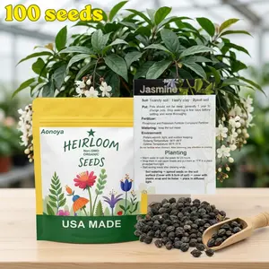 【BUY 2 GET 1 FREE】100pcs Trailing Jasmine Seeds Clerodendrum wallichii Merr Bridal Veil High Germination Rate Nodding Clerodendron Easy to Grow Long Lasting Aroma for Home Garden Fragrant Blooms Rare Cascading Jasmine Perfect for Balconies & Indoor Pots