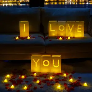 I Love You Light Up Letters Proposal Decorations with Flameless Candles and Fake Rose Petals, Valentine's Day Luminary Bags Romantic Decorations Special Night for Wedding Anniversary
