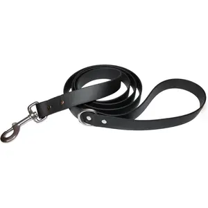Odyssey Leash Co. BioThane Dog Leash 6ft 1in Wide 1000lb Strength Waterproof Odor-Free Solid Design Eco-Friendly Style