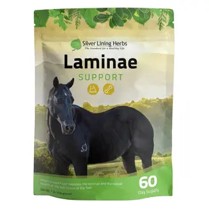 Laminae Support for Horses