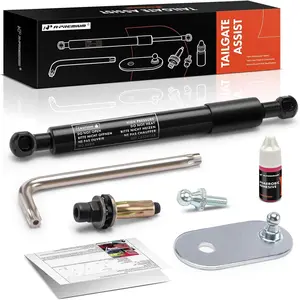 Tailgate Assist Shock Strut Compatible with Ford F-150 2004-2014 & Lincoln Mark LT 2006-2008 DZ43200 Truck Tail Gate Lift Assist Tailgate Shock