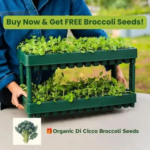 Vego Garden 10"x20" Seedling Trays, Efficient Seed Starting & Dispensing Grow Trays for Home Garden Greenhouses & Plant Germination