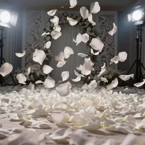 Rose Petals 100/200/300/500 Pieces, Artificial Flower Petals for Romantic Nights, Weddings, Events, Parties, Valentine's Day Decorations Decorative