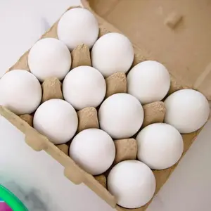 Eggmazing Wooden Eggs Eggmazing Wooden Eggs