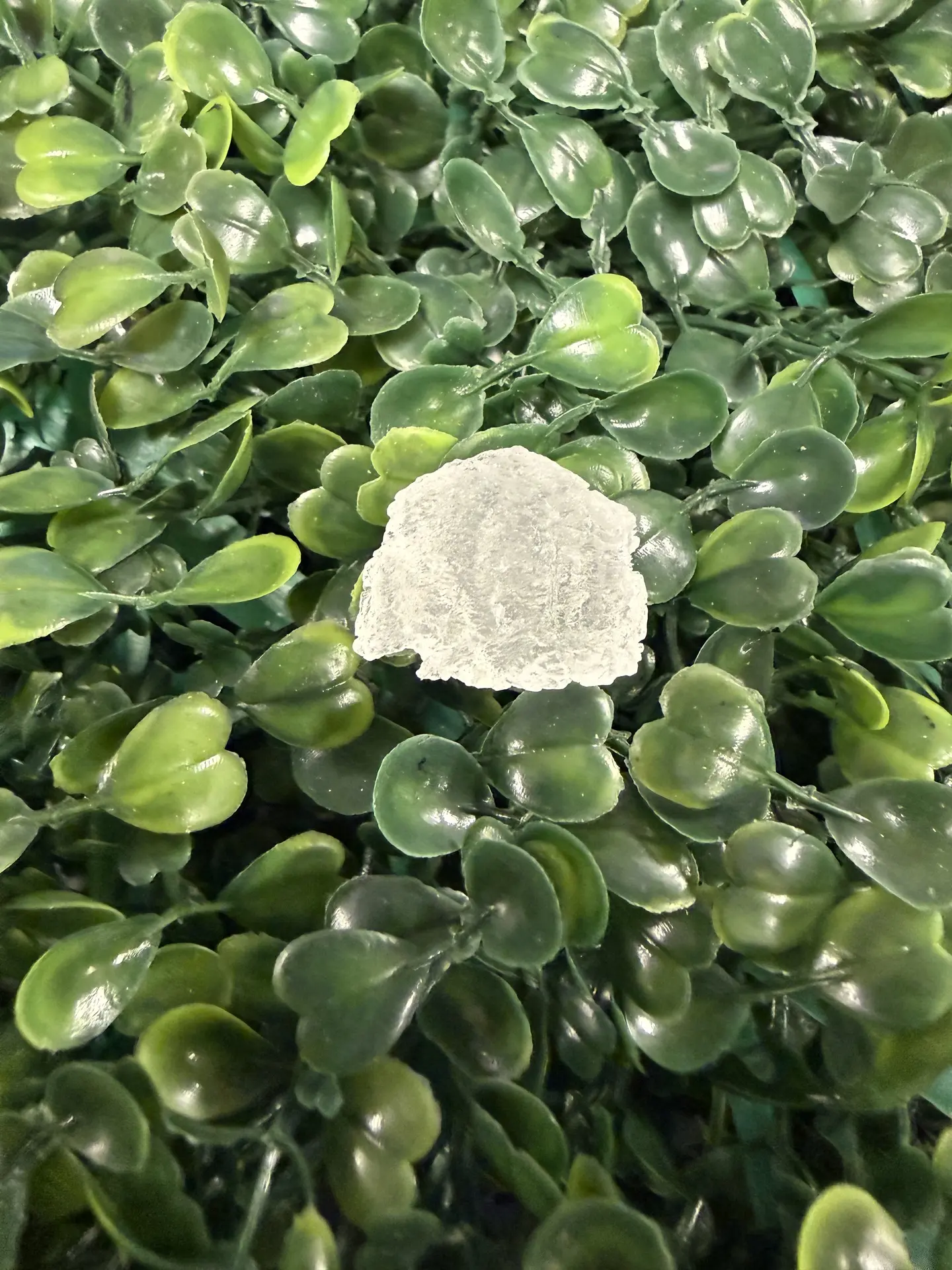 Raw Moldavite Crystal, 5.56g Genuine White Moldavite Calcite Gemstone for Healing, Transformation, and Jewelry Making, Gemstones And Crystals, Translucent, Meditation, Unique Shape, Varying Size, One-Of-A-Kind