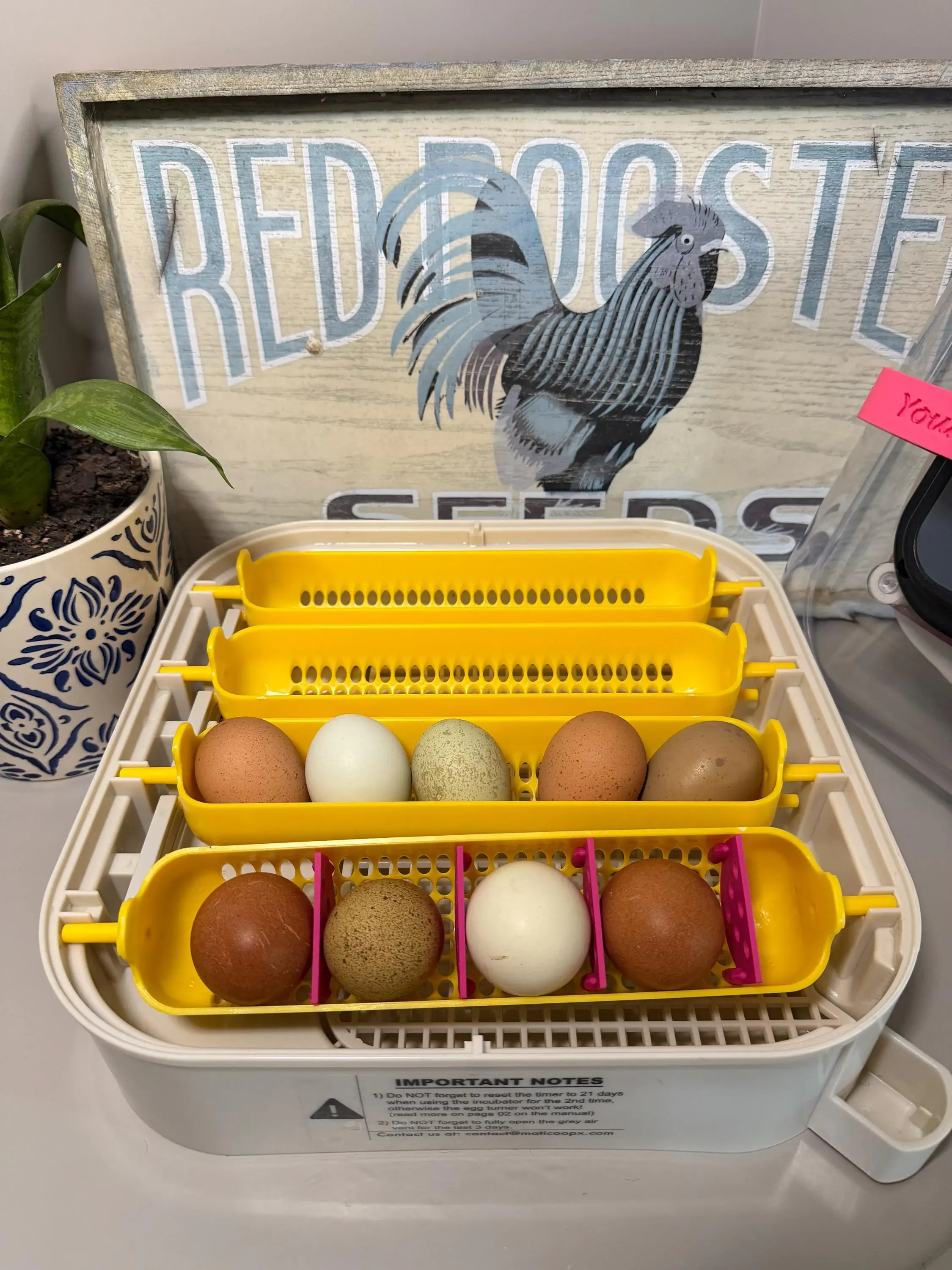 Egg Basket Dividers for Maticoopx Incubators | 3D Printed Egg Separators