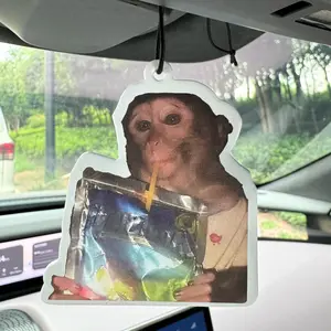 Gifts for Friend or Wife, Sustainable Freshness Car Air Freshener, Aromatherapy Scented Paper Pendant, For Rearview Mirror and Ventilation Ports