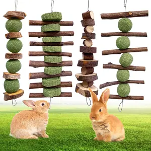 4 Pcs Bunny Chew Toys  for Teeth Grinding, Improve Dental Health, Treats for Rabbits Guinea Pigs Chinchillas Bunnies Hamsters