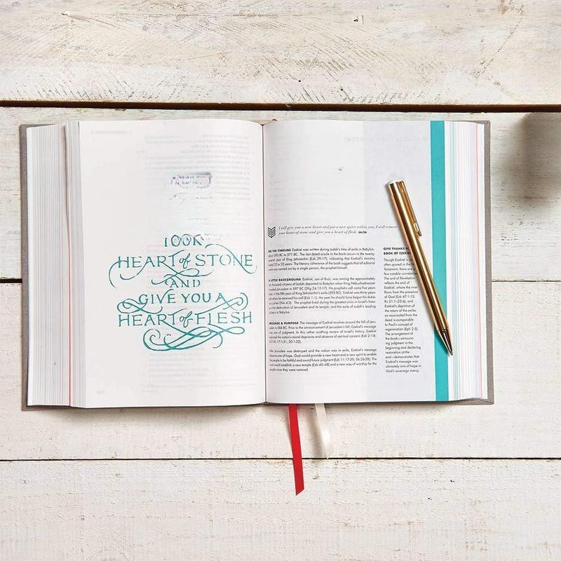 CSB She Reads Truth Bible, Gray Linen Cloth Over Board, Black Letter, Full-Color Design, Wide Margins, Notetaking Space, Devotionals, Reading Plans, Easy-To-Read Bible Serif Type Hardcover – April 15, 2017