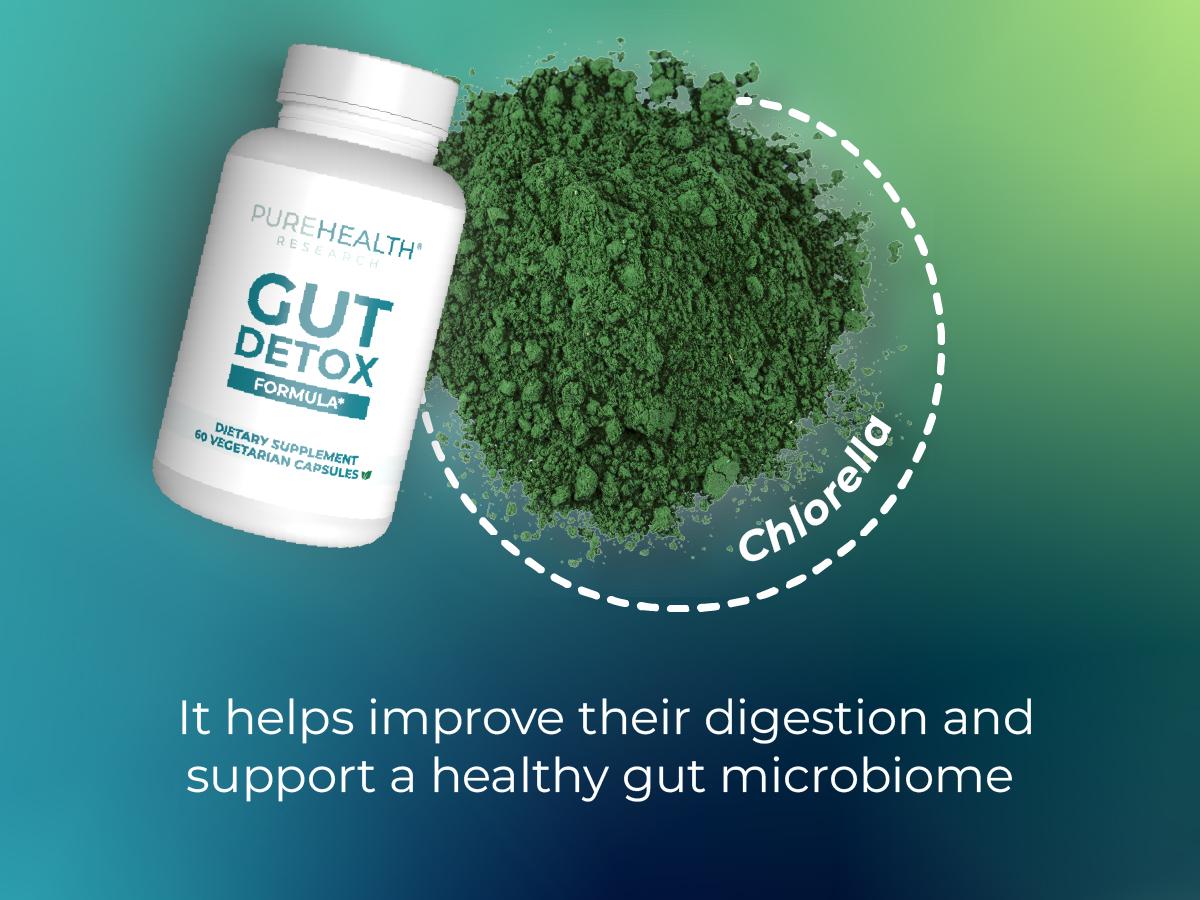 Gut Detox Formula Digestion Supplement by PUREHEALTH RESEARCH - Comprehensive Gut Cleanse with Zeolite Detox & Zeolite Clinoptilolite - Cleanse Harmful Chemicals for Optimal Wellness - 60 Capsules Healthcare Dietary Gut Detox Formula Digestion Supplement by PUREHEALTH RESEARCH - Comprehensive Gut Cleanse with Zeolite Detox & Zeolite Clinoptilolite - Cleanse Harmful Chemicals for Optimal Wellness - 60 Capsules Healthcare Dietary