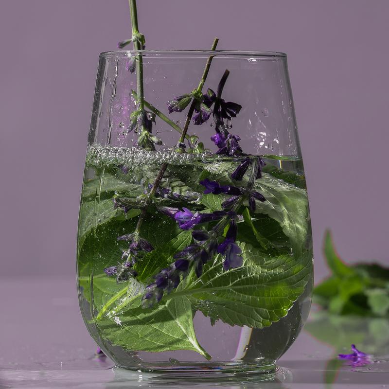 [TEABLESS Official Shop] Sage Amber Purple Tea Perfumed Body Lotion 16.93 oz / 480g , Daily Moisturizer, Body Lotion For Dry Skin & Sensitive Skin, Non-Greasy, Slow Aging, Floral Woody Scent, Korean Skin Care