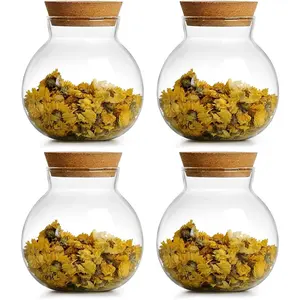 17oz Spherical Glass Jar with Cork Lid Airtight - Kitchen Glass Jar for Preserving and Storing Coffee, Spice, Beans, Sugar, Apothecary etc (2)