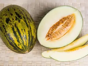 50 PIEL de SAPO MELON Christmas Melon Green Cucumis Melo Fruit Seeds