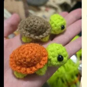 Mini Turtle