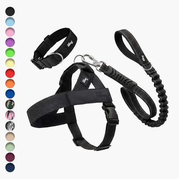 Dog Friendly Co. Dog Lovers 3-Piece Walk Set Bundle - No-Pull Harness, Neoprene Collar, 47in Leash - Choke-Free, Fits XXS-XL