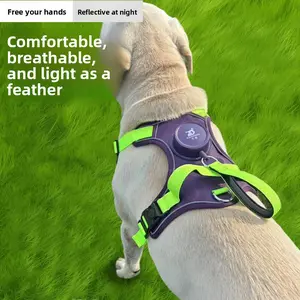 Ditch the Slip-Ups with Flimsy Harnesses! All-in-One Heavy-Duty Dog Harness |   Tear & Pull-Resistant, Ultra-Secure for Big Dogs