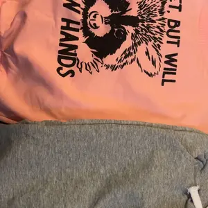 2 Pcs Set Toddler Baby Girls Boys Spring Summer Fall Outfits Raccoon Letter Print Crew Neck Long Sleeve Sweatshirt With Pants Or Short Sleeves With ShortsPrinted Animal Hoodie And Sweatshirt Set