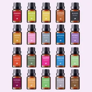 【NEW】20PCS Essential Oil Set - Long Lasting Scent Perfume Air Freshener Fragrance Refill Liquid, Aroma Diffuser Humidifier,Home&Car Fragrance,Car Interior Accessories Gift Set