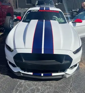 6" Twin 2 color Rally Stripe graphics set FIT All Model 2015 - 2025 Mustang including GT V6 Ecoboost GT350 & GT500