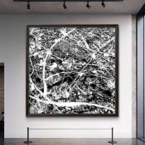 Black Desert White River