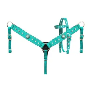 Showman Pony Size TEAL NYLON HEADSTALL & BREAST COLLAR SET w/ pearl beads concho