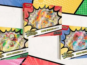 Ascended Heroes Ex Box (Quantity: 1) Mega Feraligatr, Mega Meganium, Mega Emboar