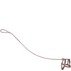 Invisible Dog Leash