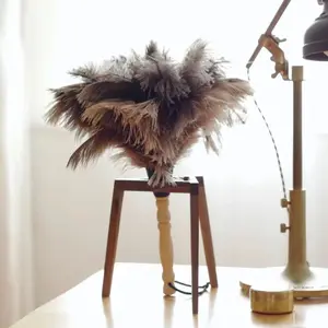 Ostrich Feather Duster Wooden Handle Anti Static Dust Removal Tool Reusable Household Cleaning Supplies for Daily Dust Cleaning