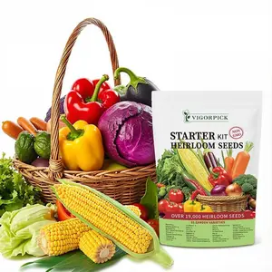 [Popular Choice] Organic Vegetable Seed Bank - 35 Non-GMO Pack for Balcony & Garden Planting, Open-Pollinated Survival Mix, Thoughtful Present for Growers