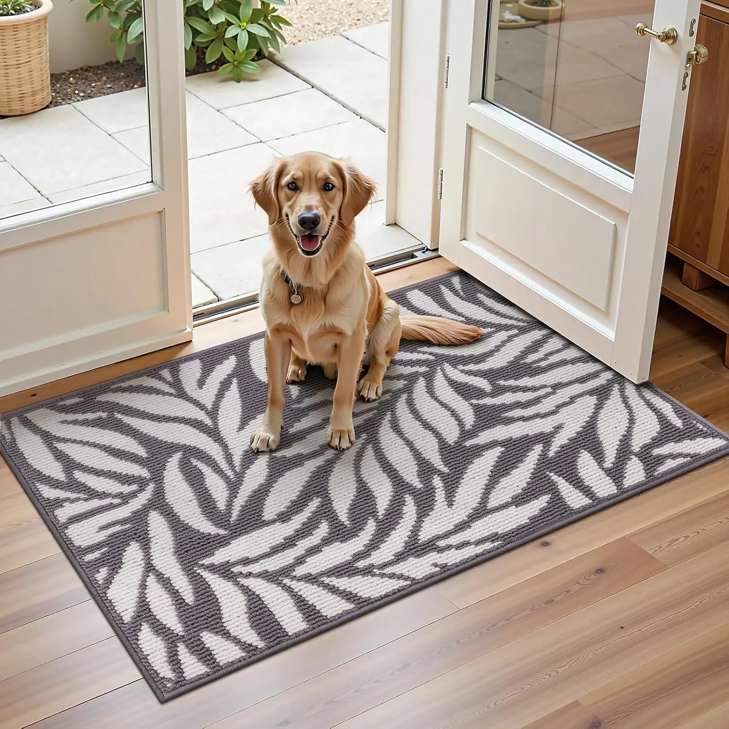 Gray with White Leaves