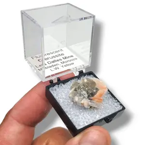 Fluorescent Cerussite from Les Dalles Mine - Captivating Moroccan Specimens in Perky Box