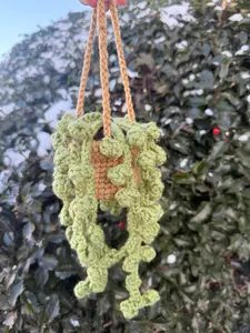 string of Perls hanging plant
