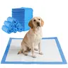 GoofyPet 22''x22'' 50 pcs/pack  Lightweight Version Disposable Dog Training Pads Premium Type Super Absorbency, Blue Leak-Proof Film