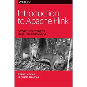 USED-Introduction to Apache Flink: Stream Processing for Real Time and Beyond by Friedman, Ellen (Paperback)