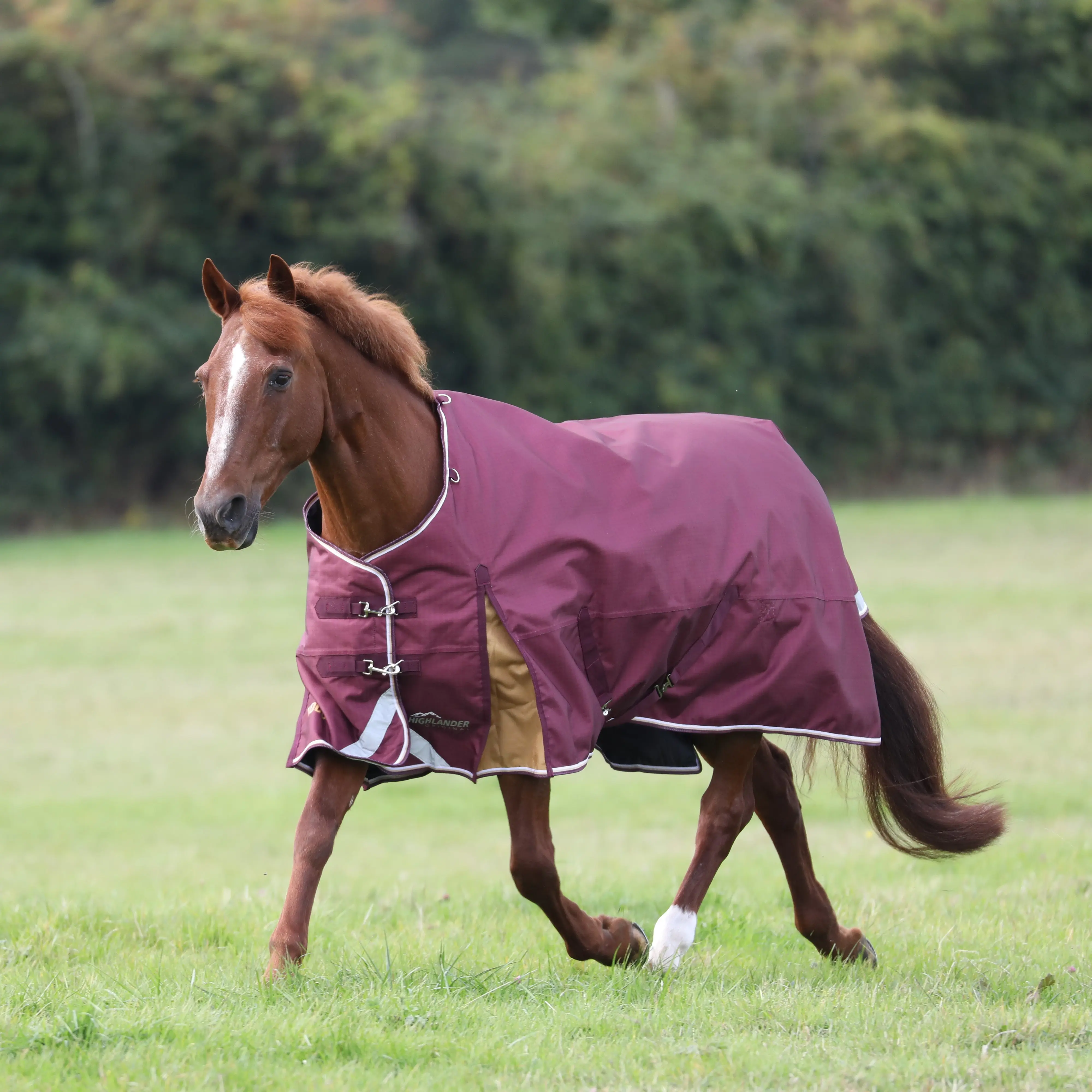 Shires Highlander Plus 100 Standard Neck Blanket 1200 Denier Ripstop Fabric 100g Poly Fill Waterproof PFC Free Machine Washable