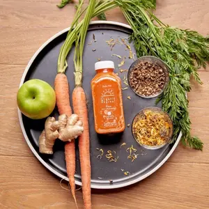 Flow Botanical Beverage Pack - Wellness & Vitality Natural Flavor